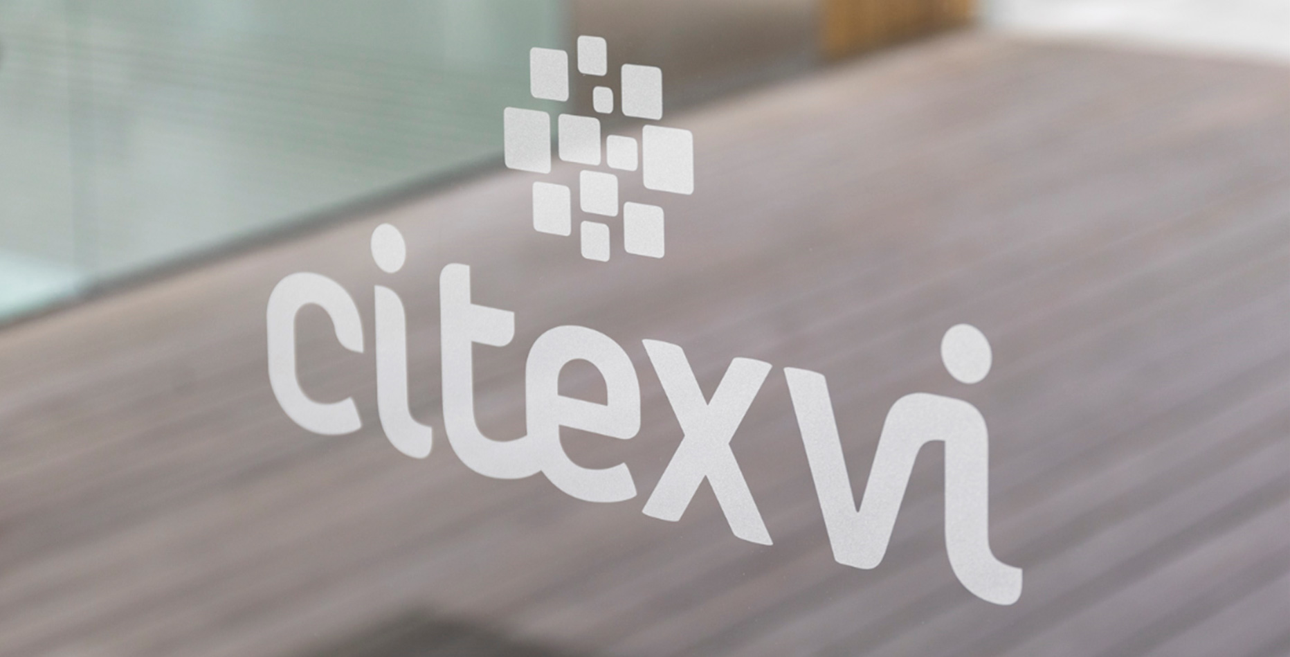  CITEXVI
